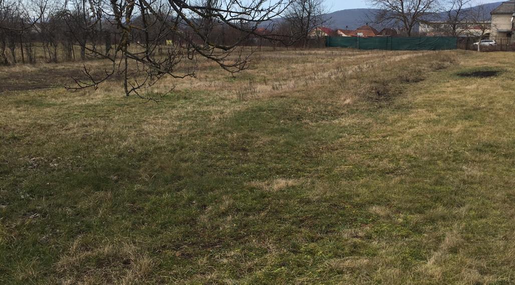 Pozemok na PREDAJ v Uľanoch nad Žitavou