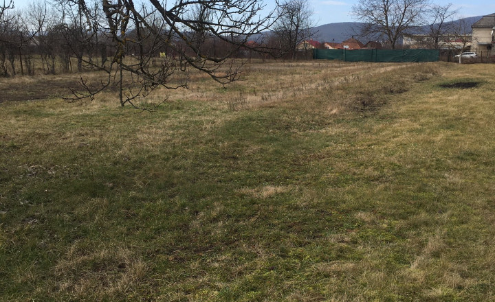 Pozemok na PREDAJ v Uľanoch nad Žitavou